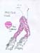 070 Hot Pink Zebra